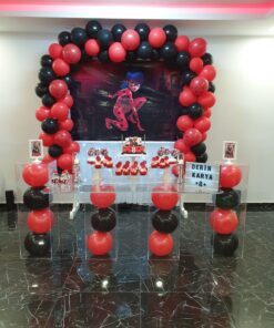 Uğur Böceği ve Kara Kedi