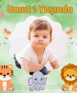 Safari Doğum Günü Afişi