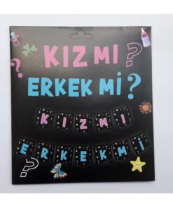 Cinsiyet Partisi Konsepti-Kız mı Erkek mi?-Banner