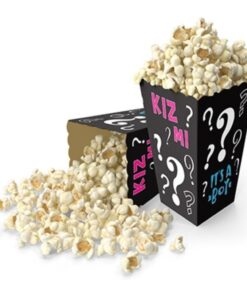 Cinsiyet Partisi Konsepti-Mısır Kutusu