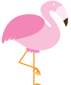 Flamingo Konsepti