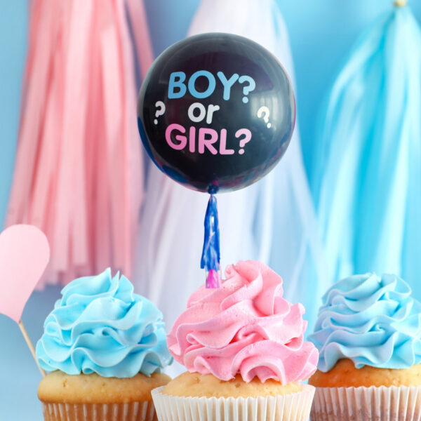 Adana Cinsiyet Partisi Malzemeleri